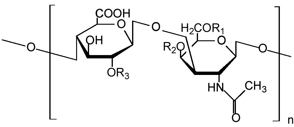 Chondroitin_Sulfate_Structure_NTP.png