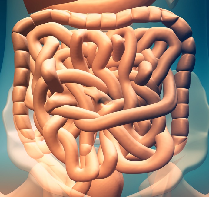 IBS.jpg